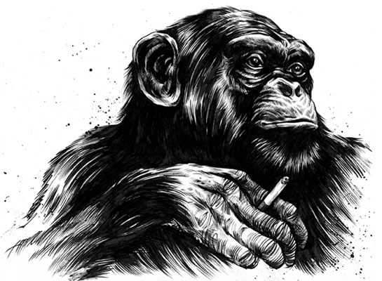 The image “http://www.benhortonart.com/images/drawings/8-17/smoking-chimp.jpg” cannot be displayed, because it contains errors.